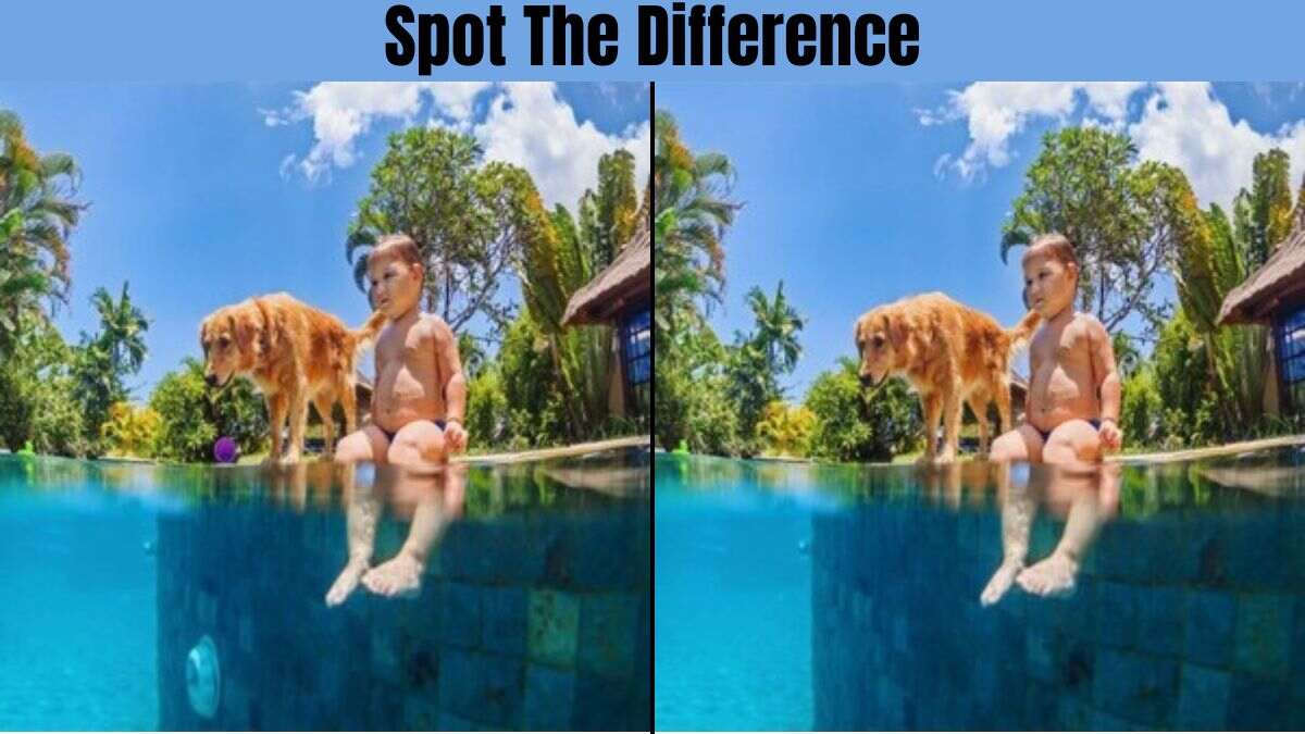 This Spot The Difference Challenge Is Guaranteed To Make You Feel Like An Idiot
