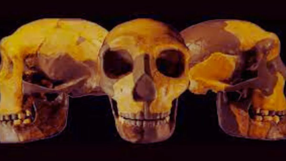 A skull, as old as 300,000-years, discovered in China! Know about the surreal experience