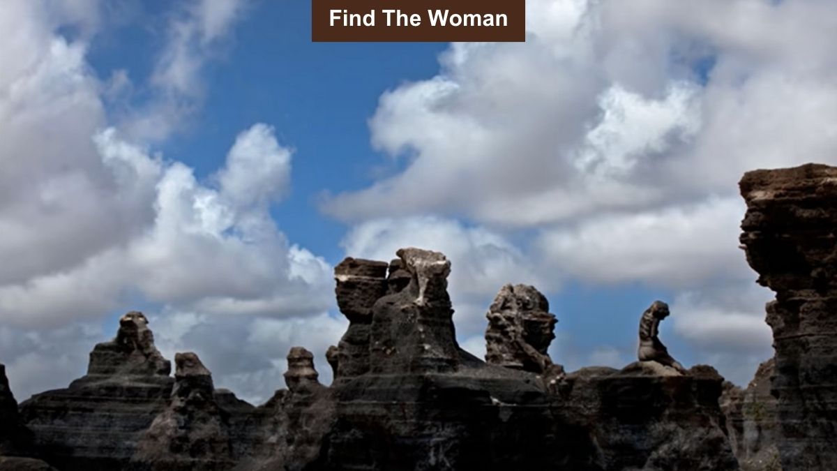 99 Fail To Find The Woman Hidden Among Rocks Can You Spot Her 