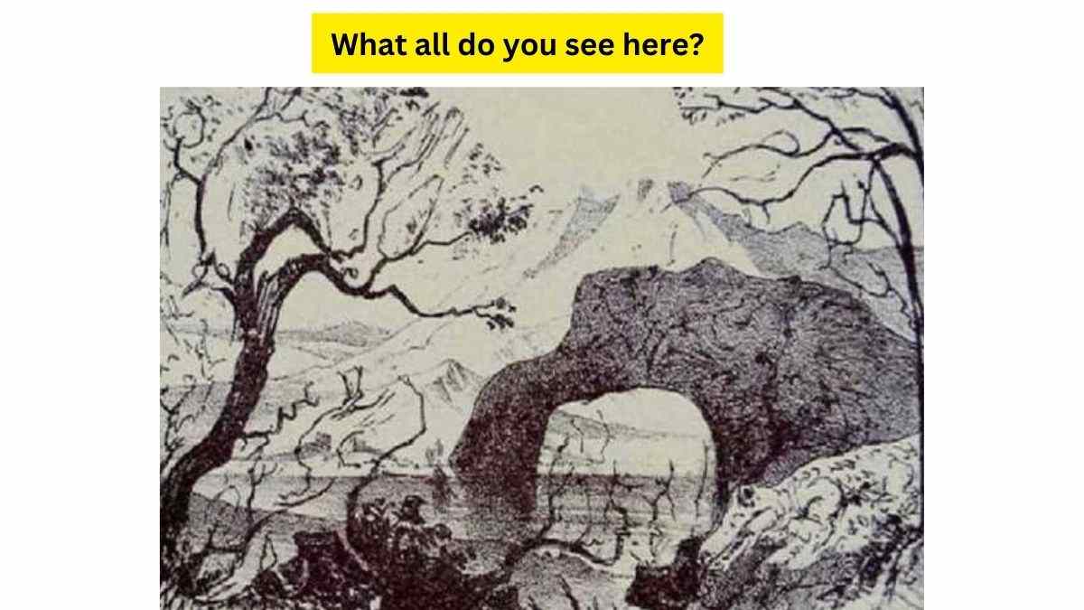 What Do You See Here?