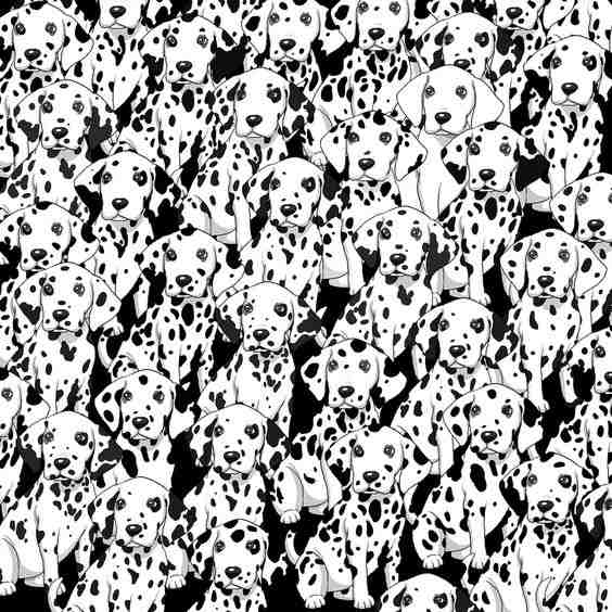 where is the odd dog in the image?