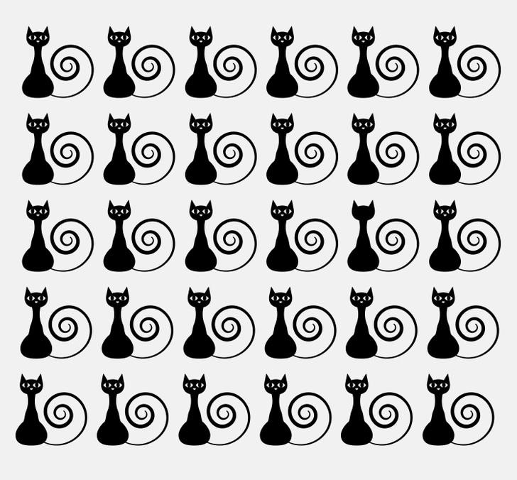 spot the odd one out cat puzzle