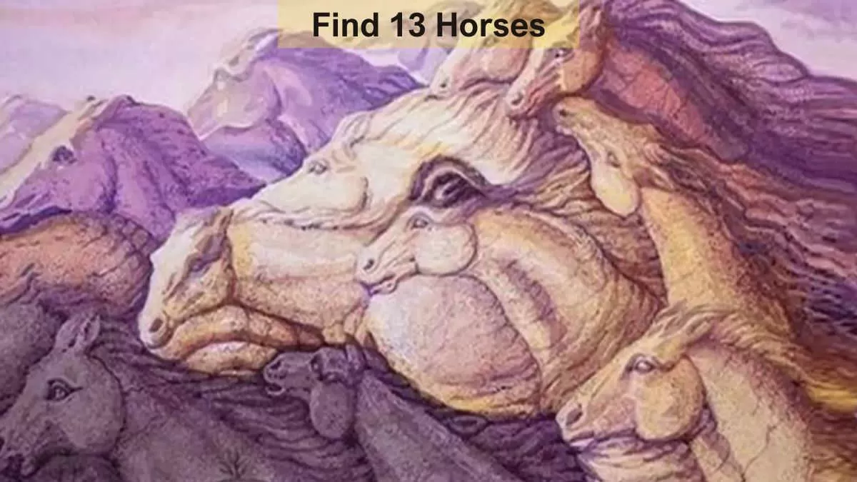 Optical Illusion Visual Skill Challenge: Find 13 Horses in 13  Seconds