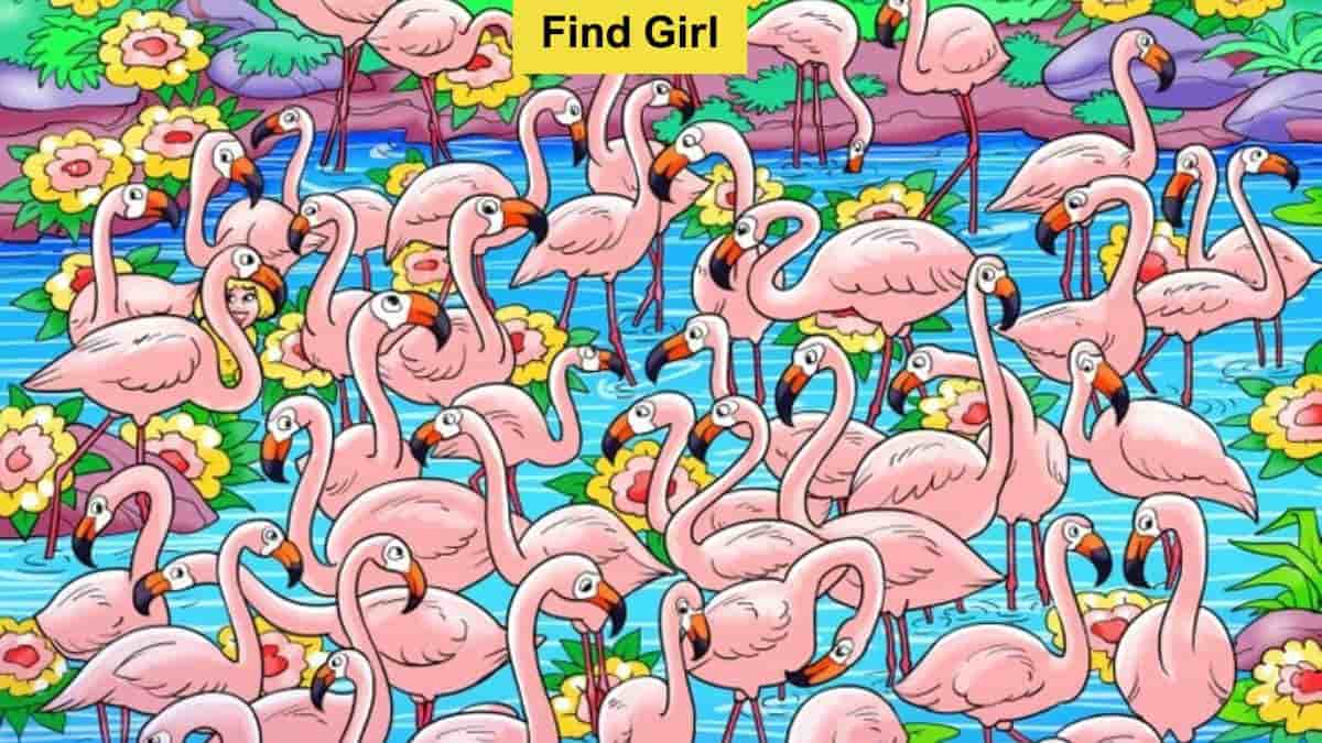 You have extraordinary vision if you can find the hidden girl among flamingos in 6 seconds!