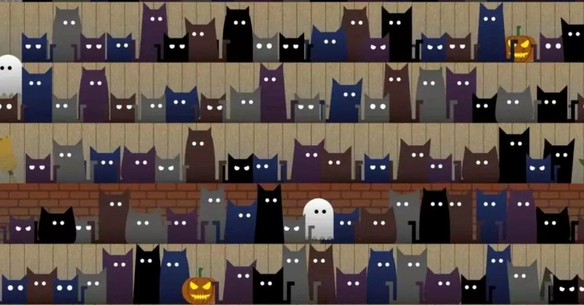 Find the Hidden Hat