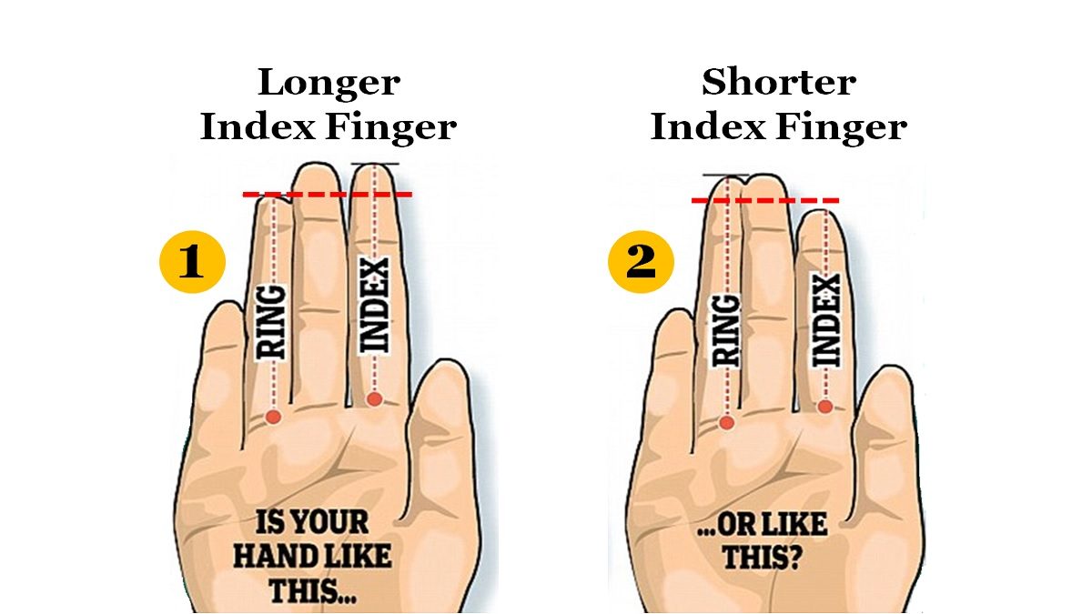Personality Test: Your Index Finger Length Reveals Your Hidden Personality  Traits