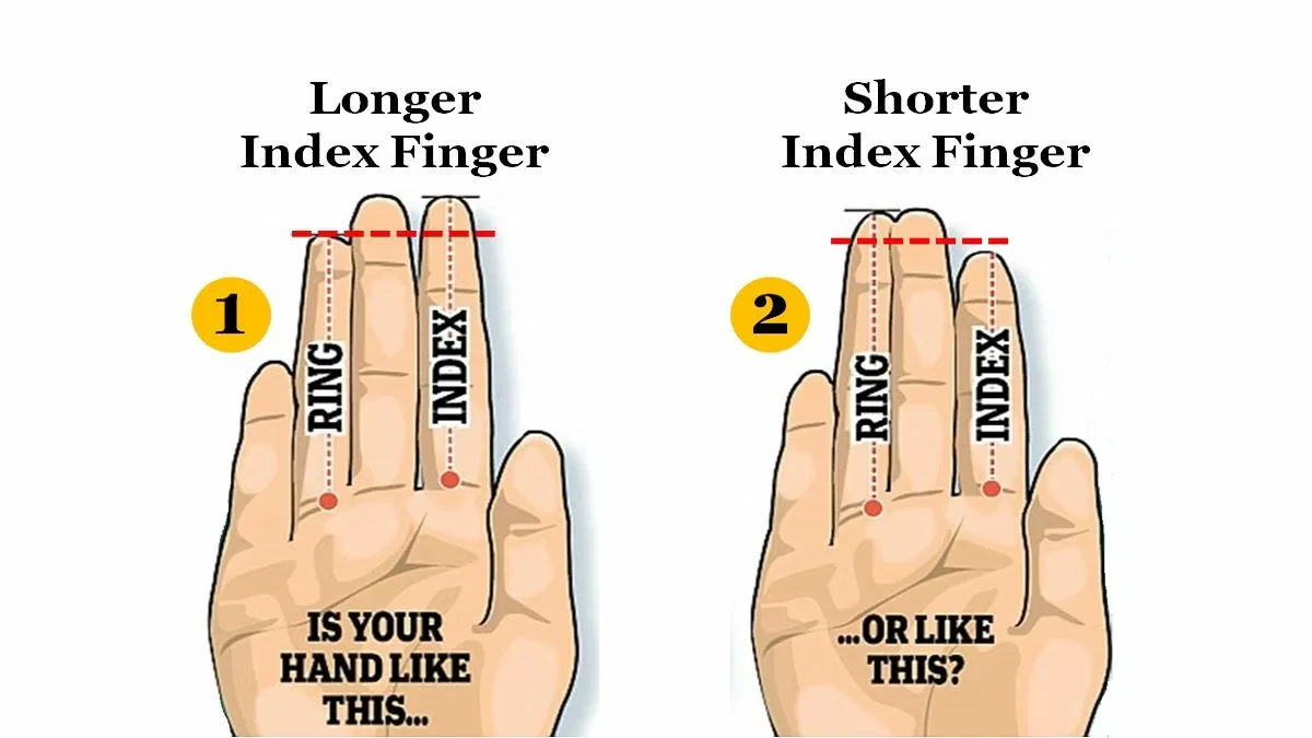 Personality Test Your Index Finger Length Reveals Your Hidden 