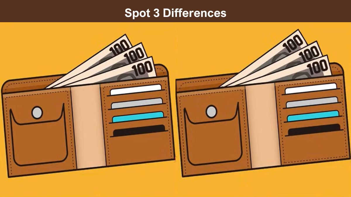 Spot 3 differences between the two wallet pictures in 7 seconds!