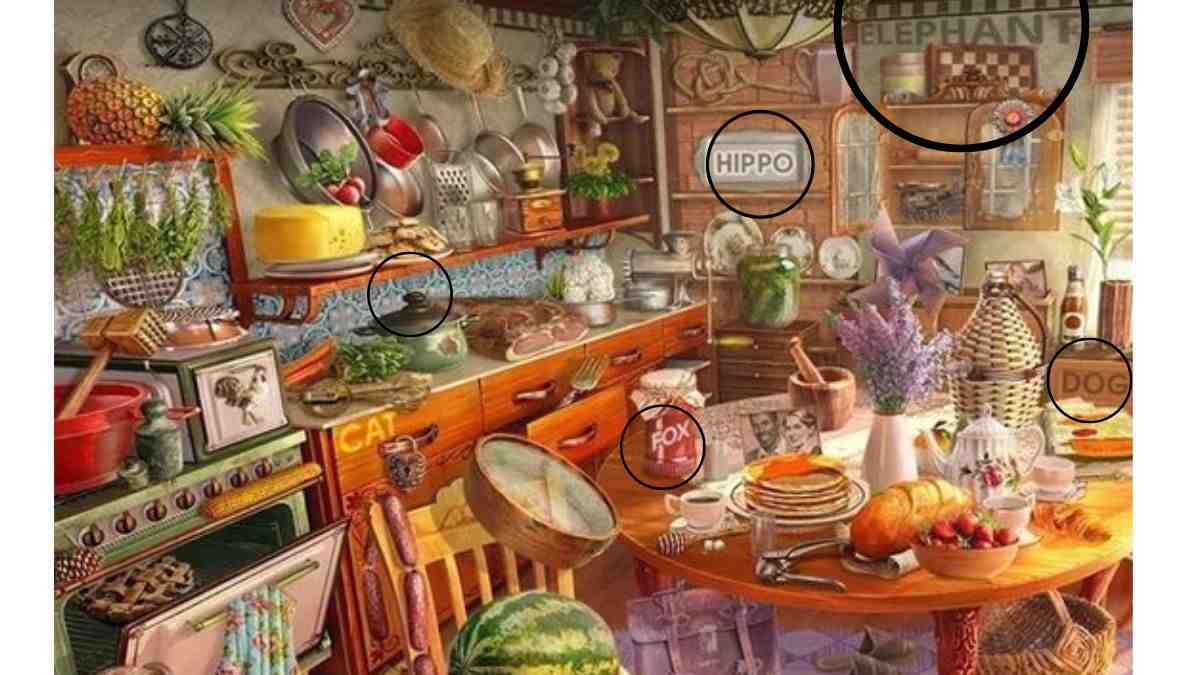 all the 5 hidden words are here