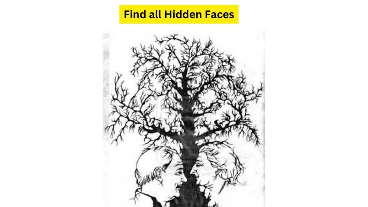 Optical Illusion Iq Test Can You Find 10 Faces Hidden On The Bark Within 29 Seconds Hurry Up 