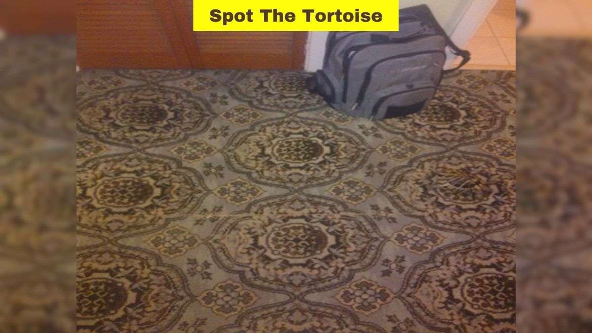 Use Your Eagle Eye Vision To Spot The Tortoise In This Viral Carpet Illusion Image Within 5 Seconds!