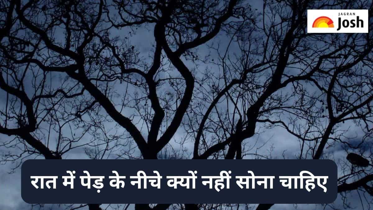 रात में पेड़ के नीचे क्यों नहीं सोना चाहिए, जानें 
