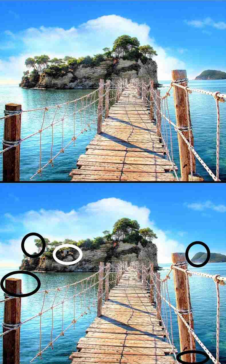 Spot The Difference: Spot 5 Differences in 11 Seconds