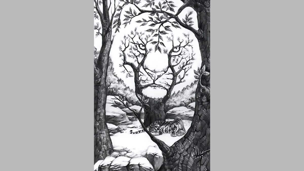 Seek and Find Puzzle: Find the Hidden Tiger in 6 Seconds!