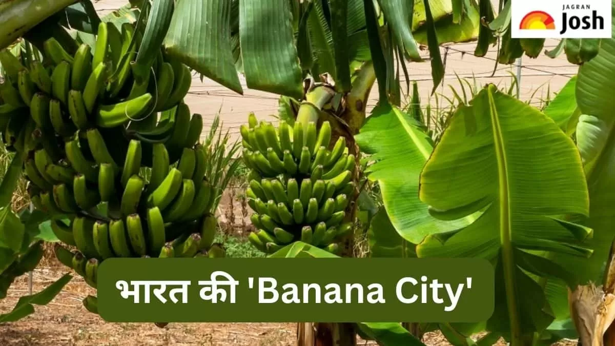 केलों का शहर