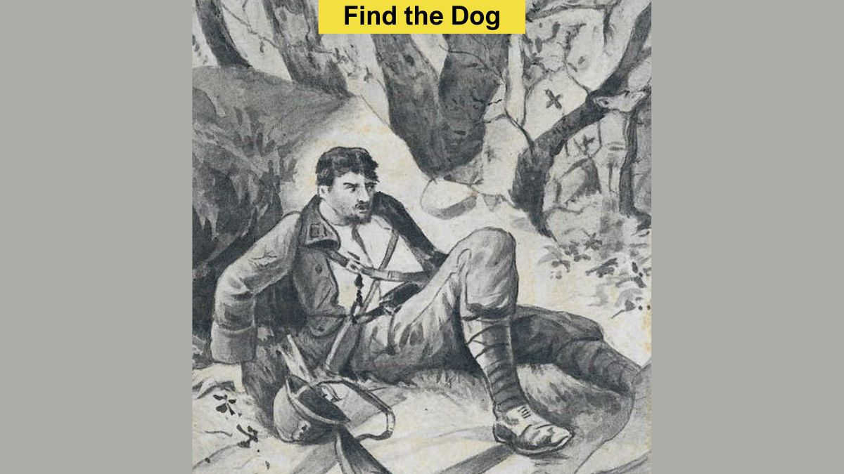 You have the most attentive eyes if you can spot a dog on the rocks in 8 seconds!