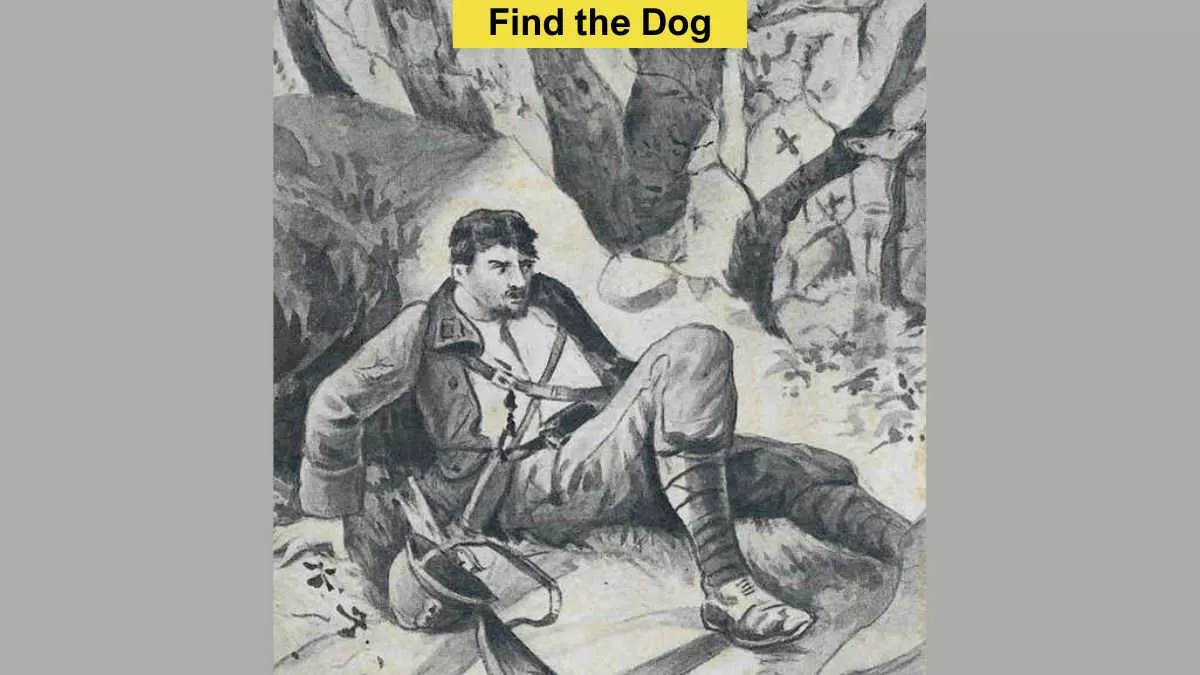You have tOptical Illusion: Spot a dog on the rocks in 8 seconds