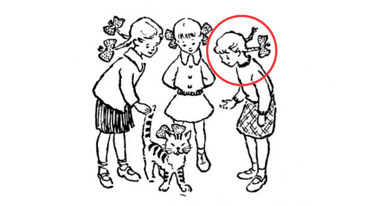 the owner of the cat is here