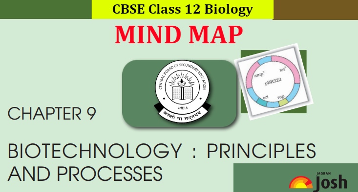 CBSE Biotechnology Principles and Processes Class 12 Mind Map for Chapter 9 of Biology, Download PDF