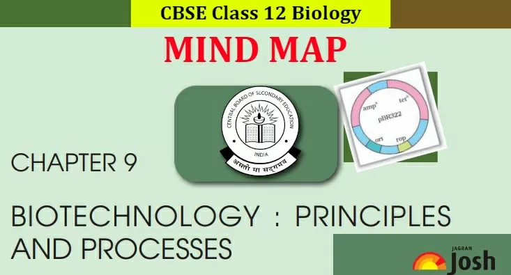 CBSE Biotechnology Principles And Processes Class 12 Mind Map For ...