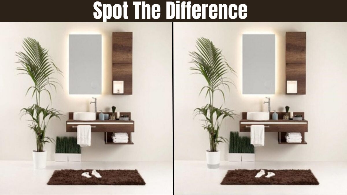 This Spot The Difference Challenge Will Leave You Scratching Your Head.