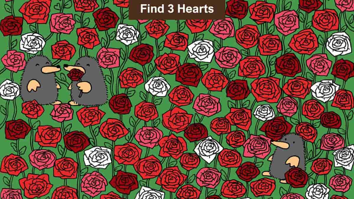 Optical Illusion Vision Challenge: Find 3 Hearts Among the Roses in 13 Seconds!
