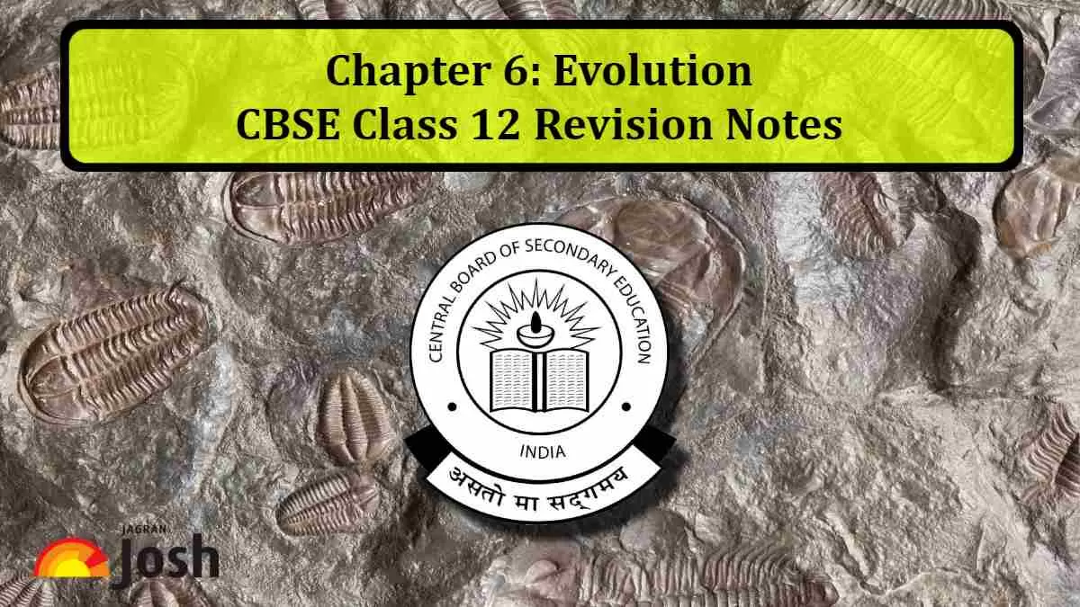 Download CBSE Class 12 Biology Chapter 6 Evolution Revision Notes PDF