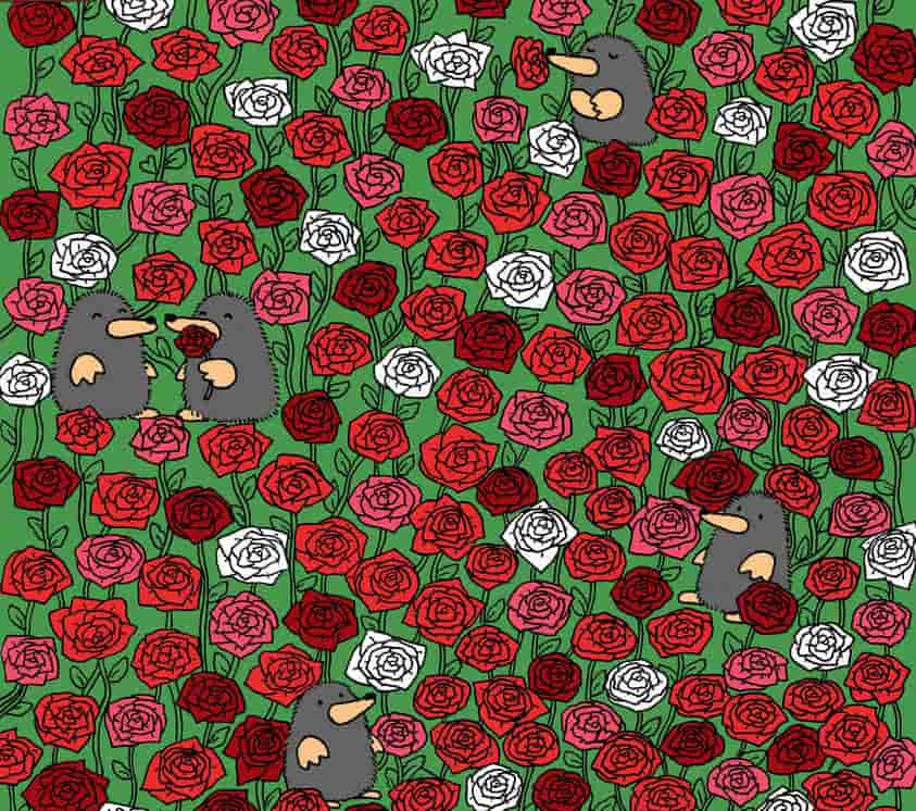 Optical Illusion Vision Challenge: Find 3 Hearts Among the Roses in 13 ...