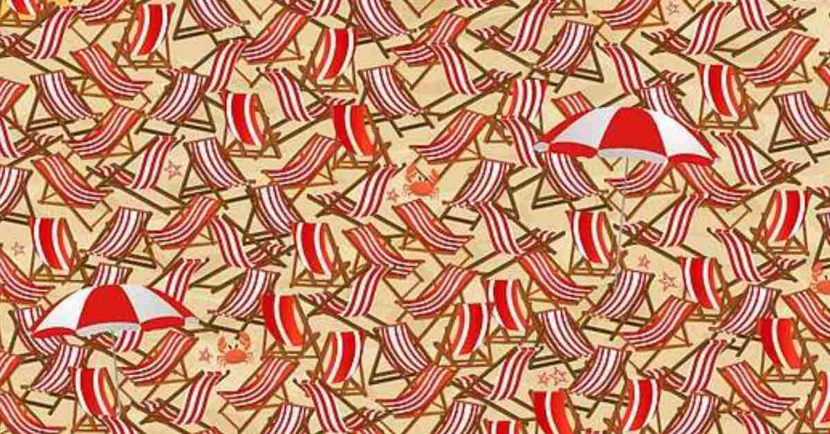The Ultimate Optical Illusion Challenge! Can You Spot the Hidden Skis?