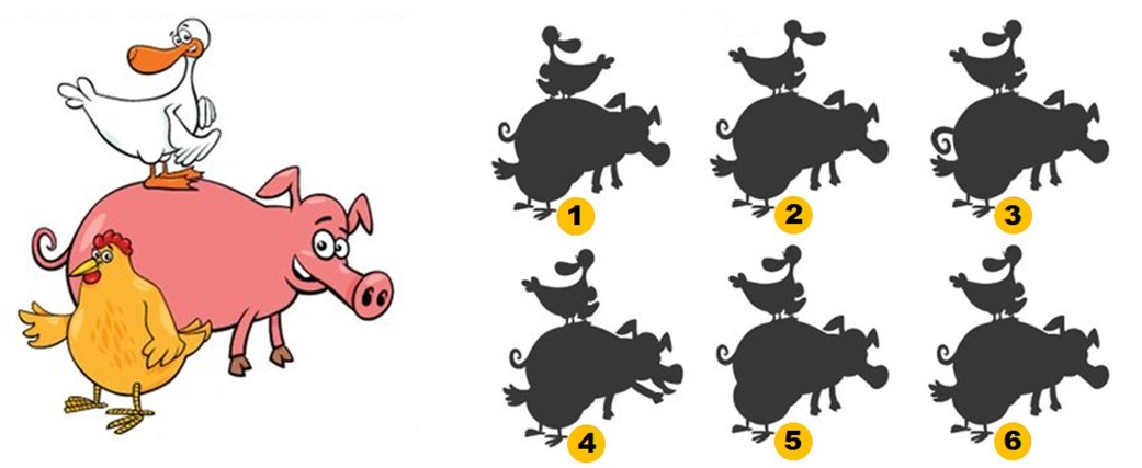 match the shadow puzzles