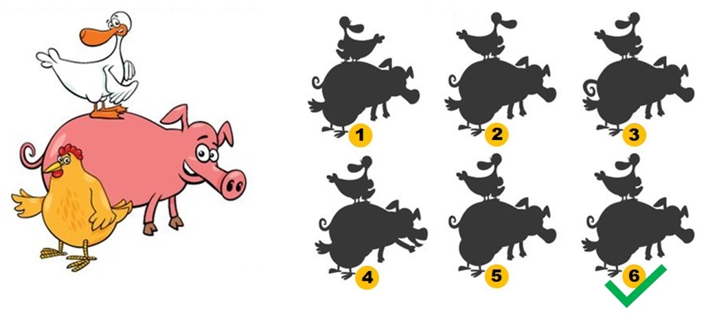 match the shadow puzzles with answers