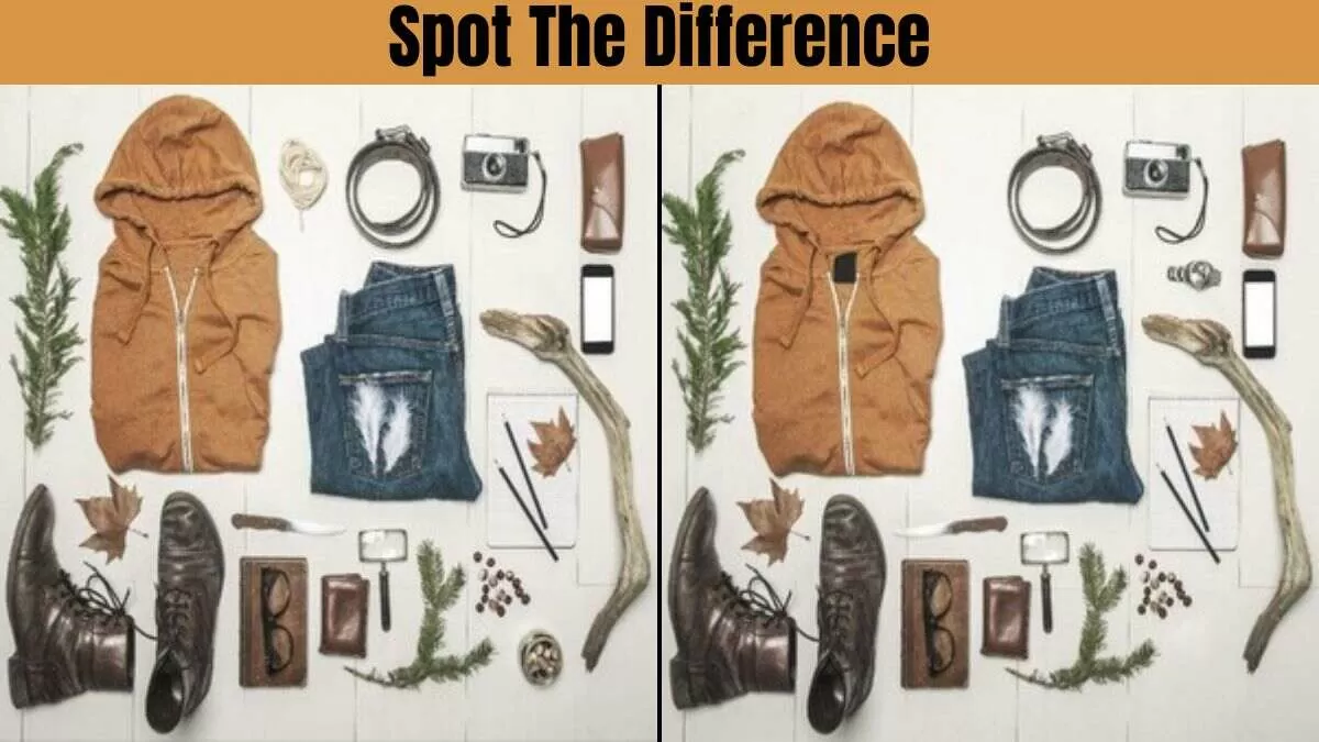 Spot The Difference: Find 5 differences in 23 seconds
