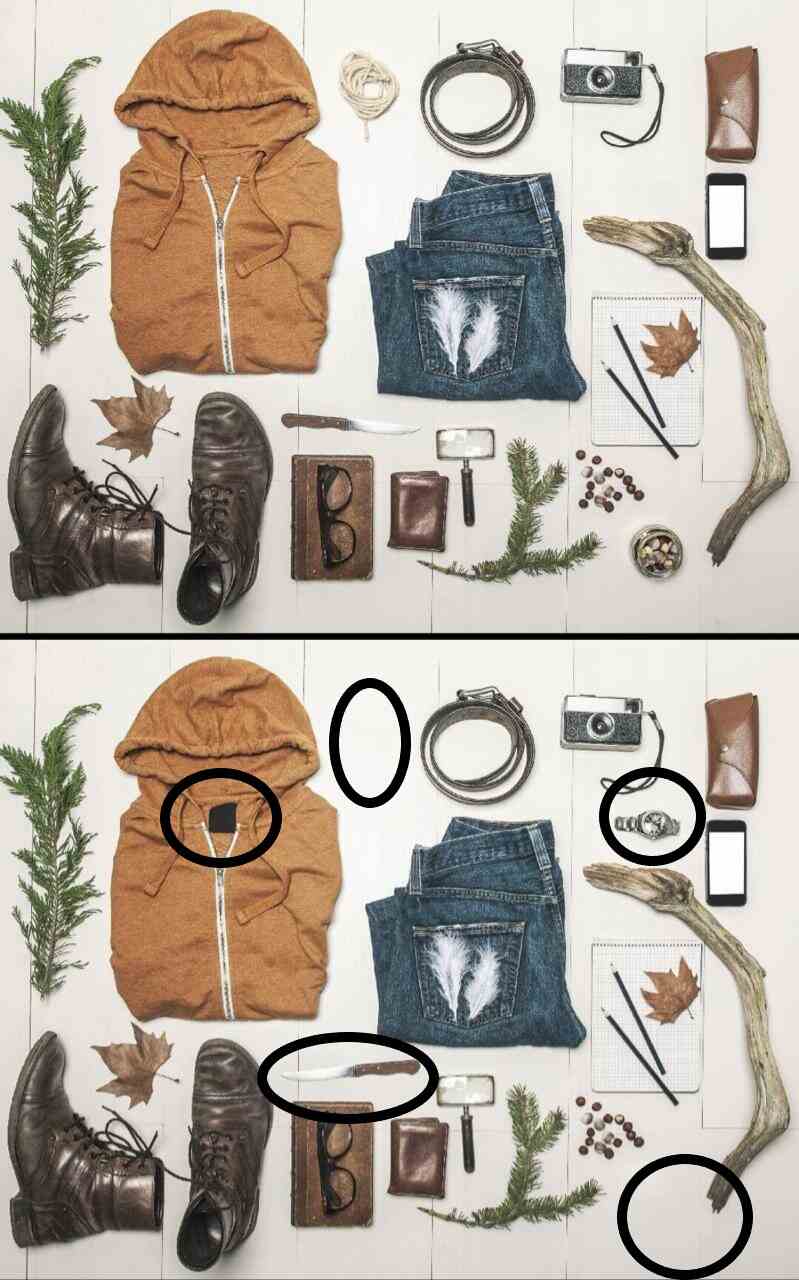 Spot The Difference: Find 5 differences in 23 seconds