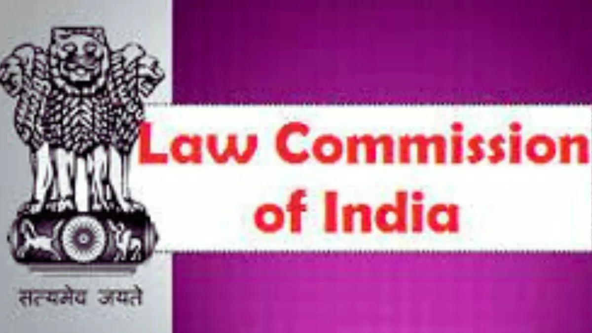 What Is The Law Commission?