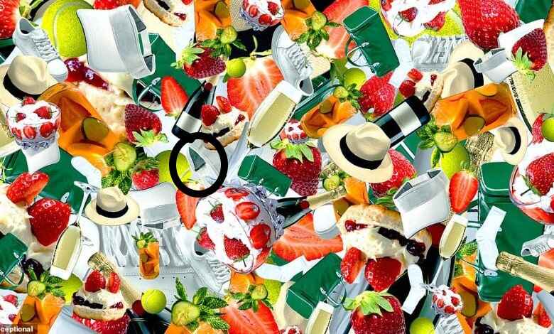 Optical Illusion: Find The Racquet In 19 Seconds