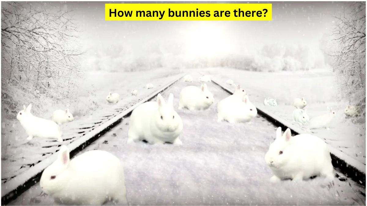 How Many Bunnies Are There In The Picture? Pass This Challenge In 10 Seconds!