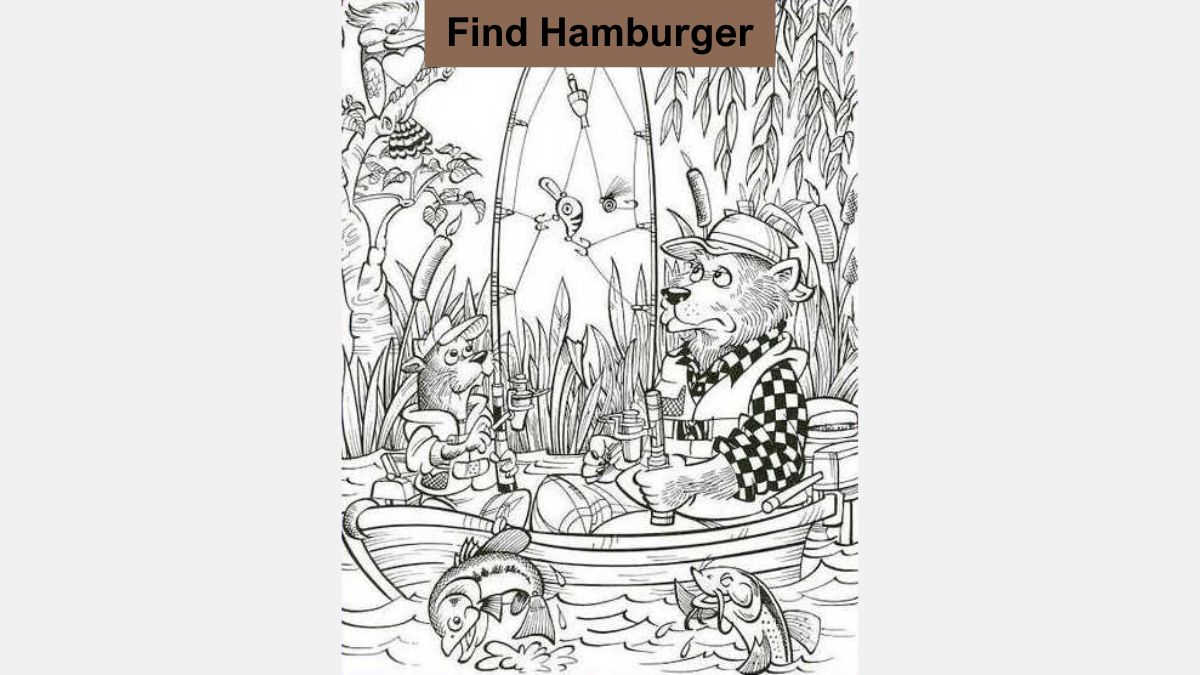 Optical Illusion Visual Challenge: Find the Hamburger in 6 Seconds!