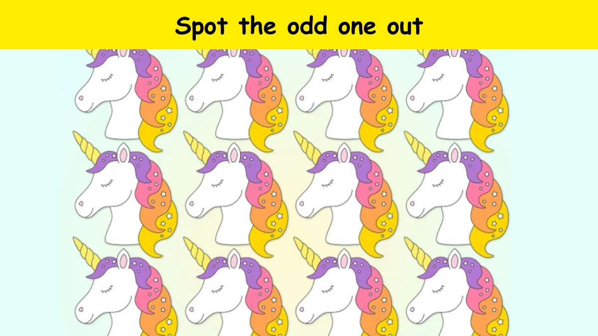 Brain Teaser Challenge: Can you spot the odd unicorn in the picture in 7 seconds?
