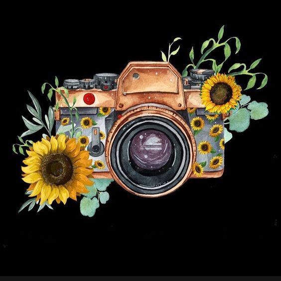 happy world photography day