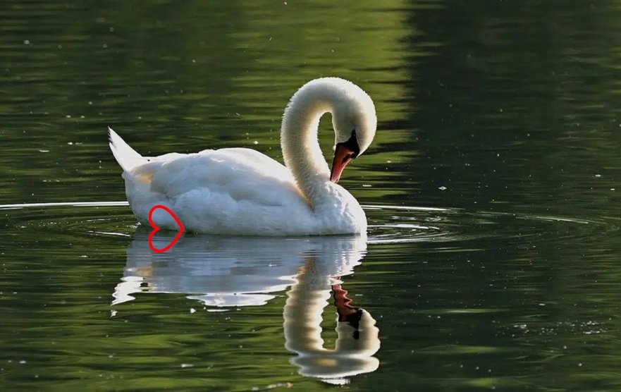 optical illusions hidden objects answers