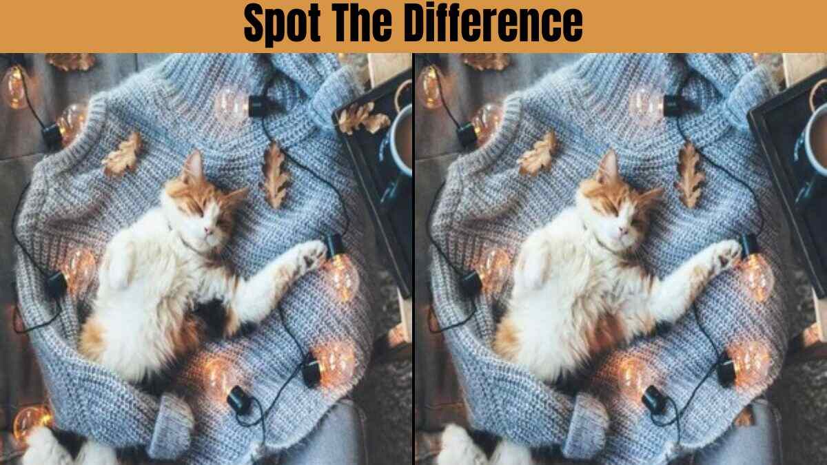 This spot The Difference Challenge Is So Hard, It's Guaranteed To Make You Lose Your Mind.