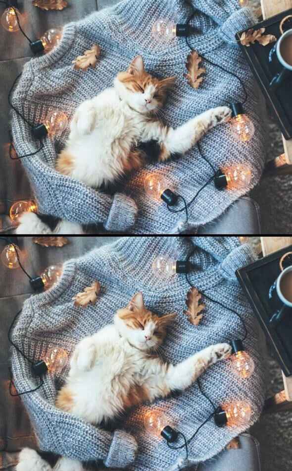 Spot The Difference: Spot 5 Differences In 27 Seconds