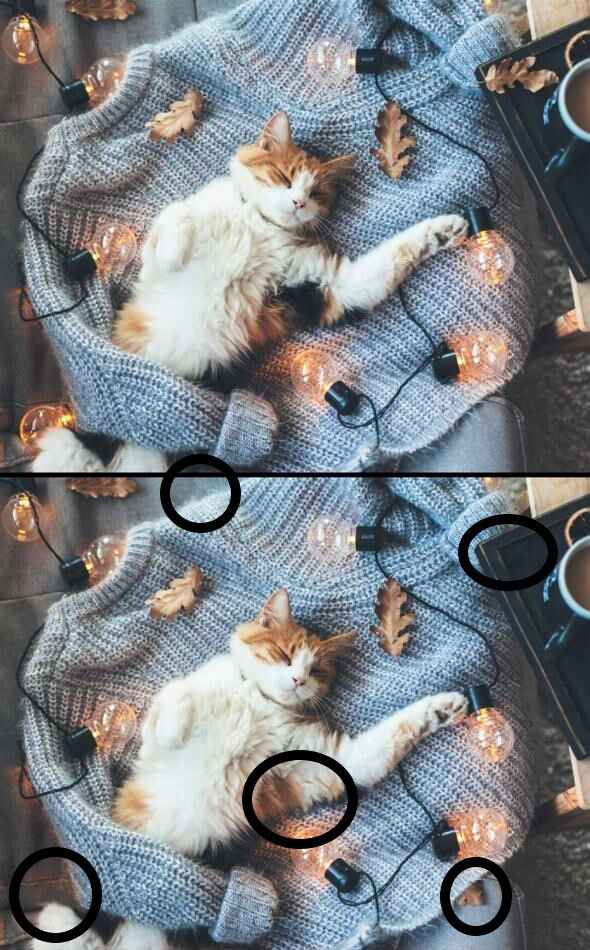 Spot The Difference: Spot 5 Differences In 27 Seconds