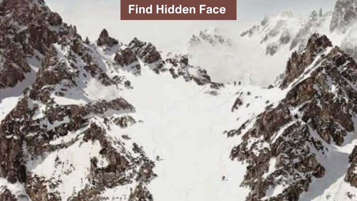 optical-illusion-to-test-your-vision-find-the-hidden-face-in-mountains-in-5-seconds