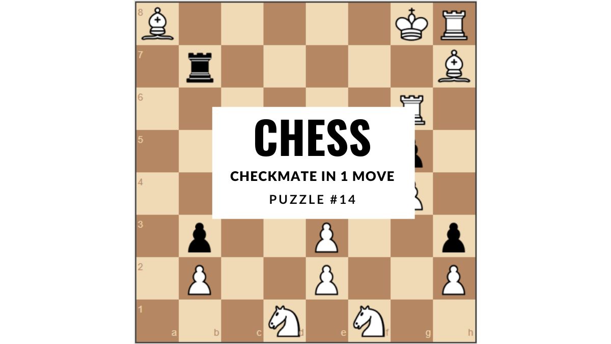 CHECKMATE