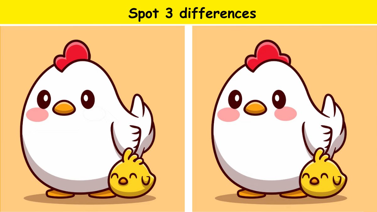 Only the smartest can spot 3 differences between the hen pictures in 9 ...