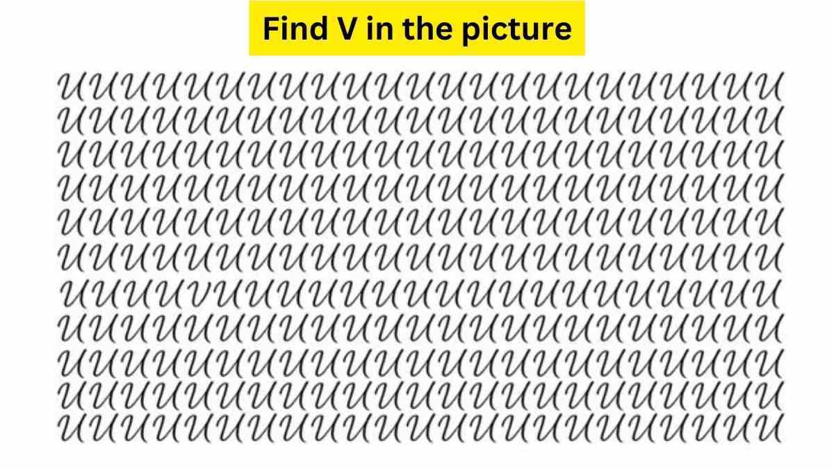 Brain Teaser to Test Your IQ: How Many Letters 'm' Can You Spot Among the  Alphabet 'n' in Picture within 11 secs?