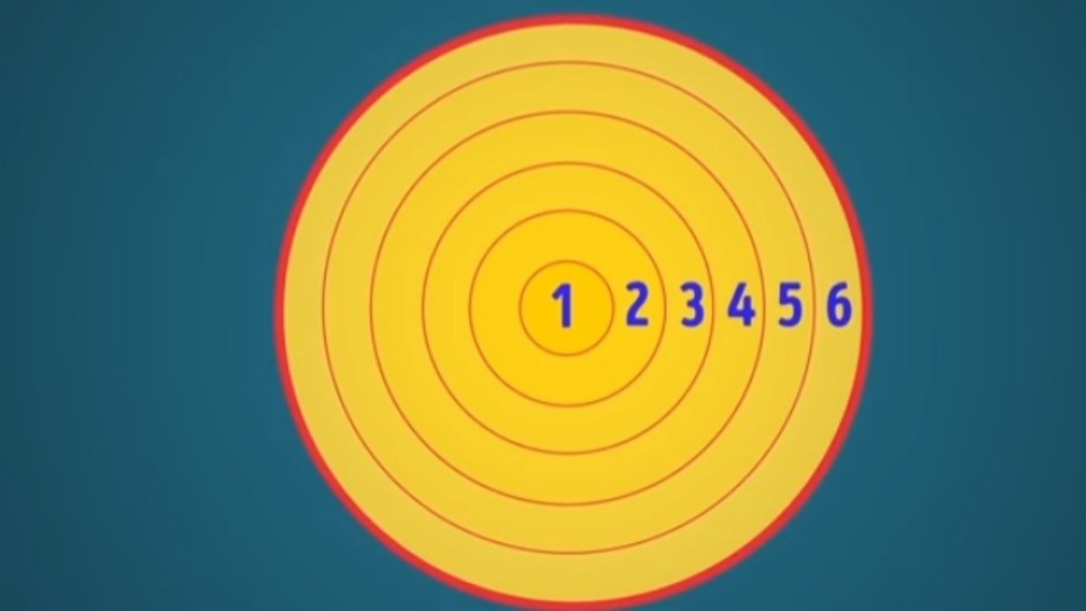 how many circles iq test optical illusions with answers