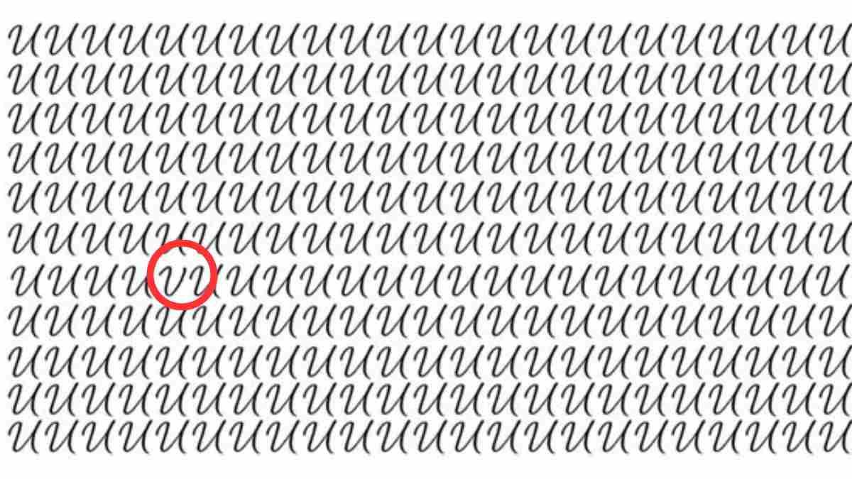 the v among u is here