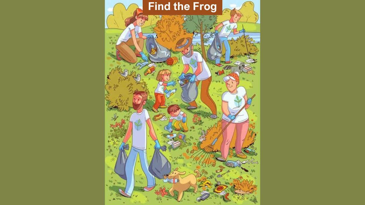 Seek and Find Puzzle: Someone with sharp eyes can spot a frog in 7 seconds!
